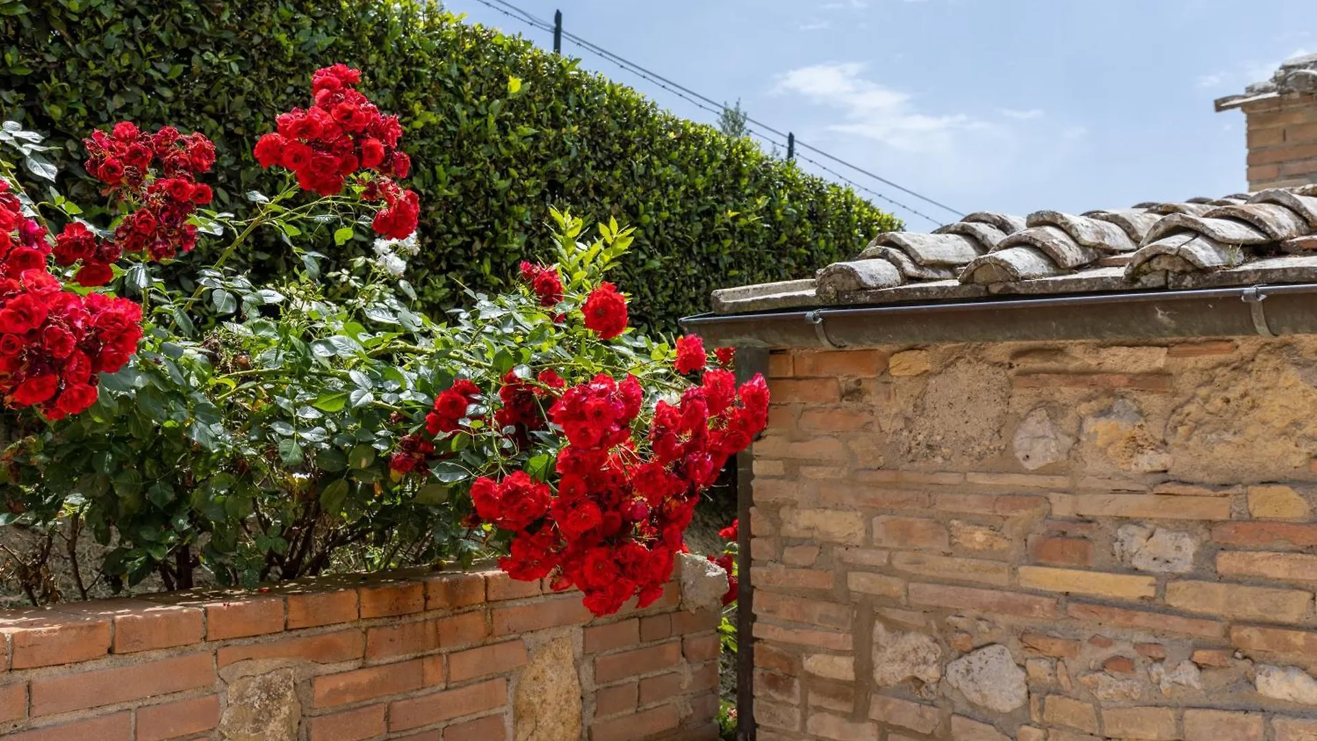 Apartment Suite Limonaia San Gimignano Italien